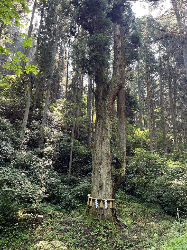 御岩神社