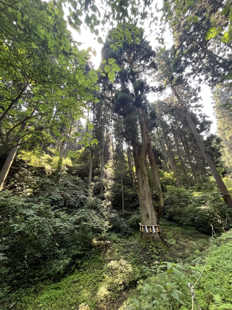御岩神社