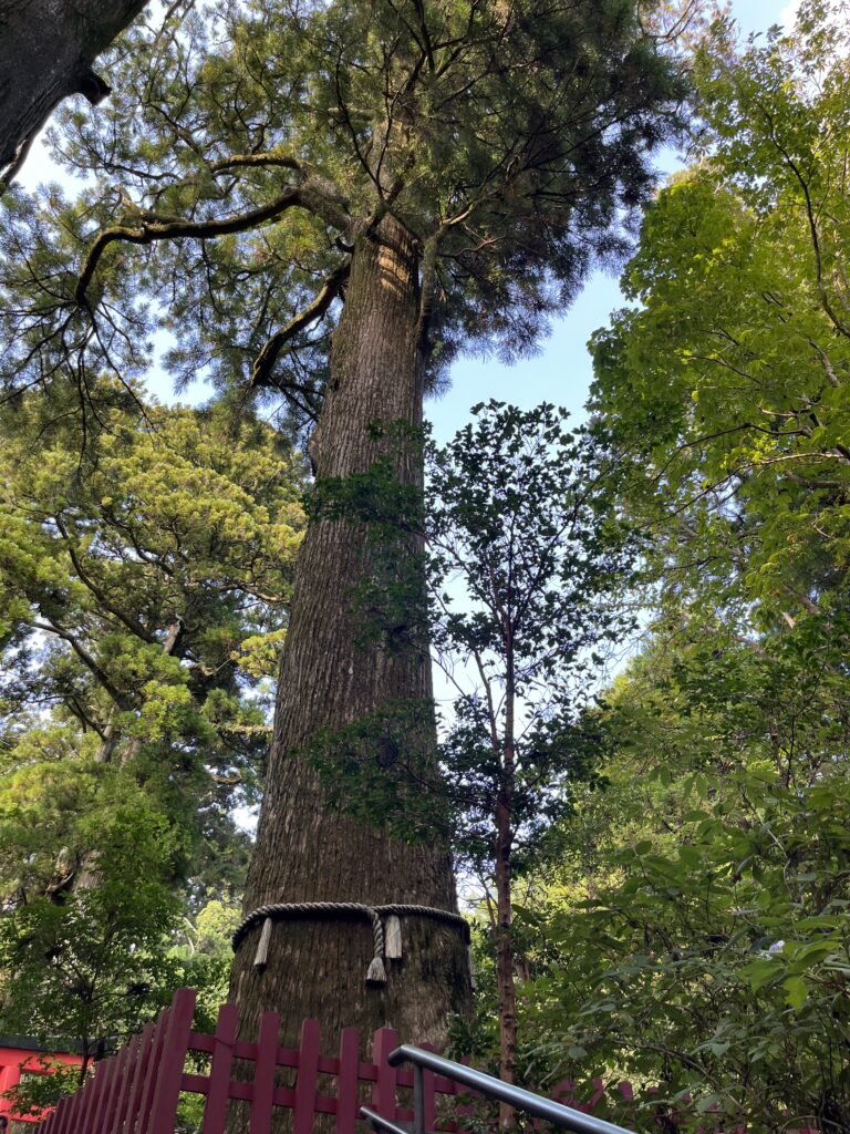 箱根神社