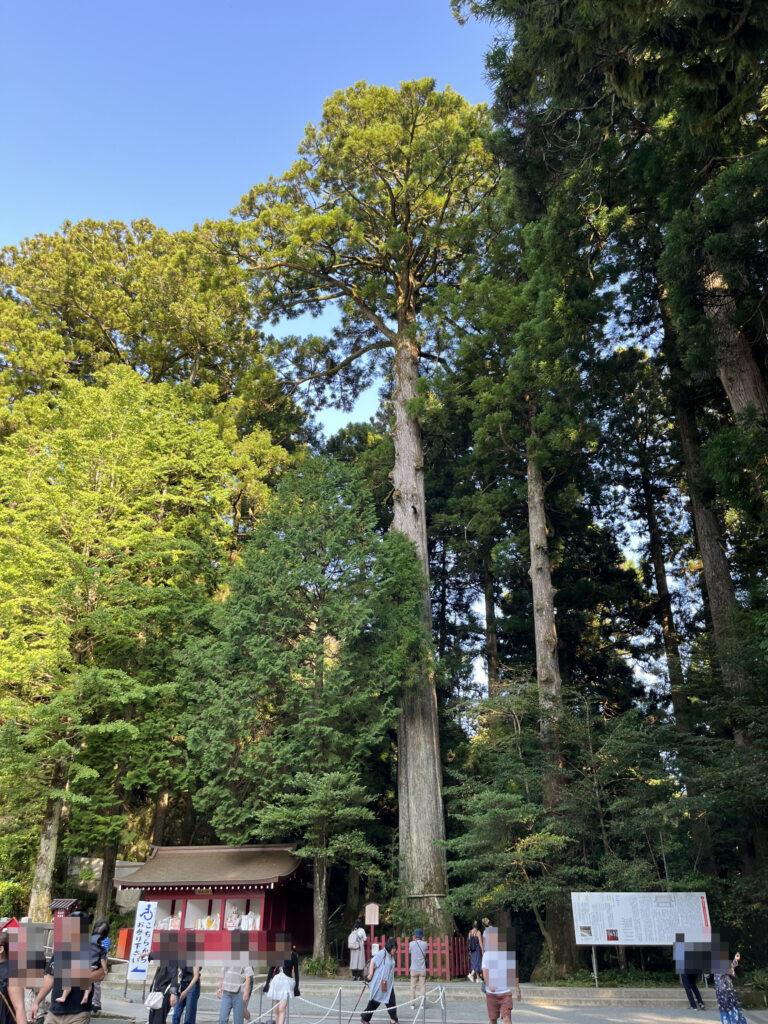 箱根神社の境内