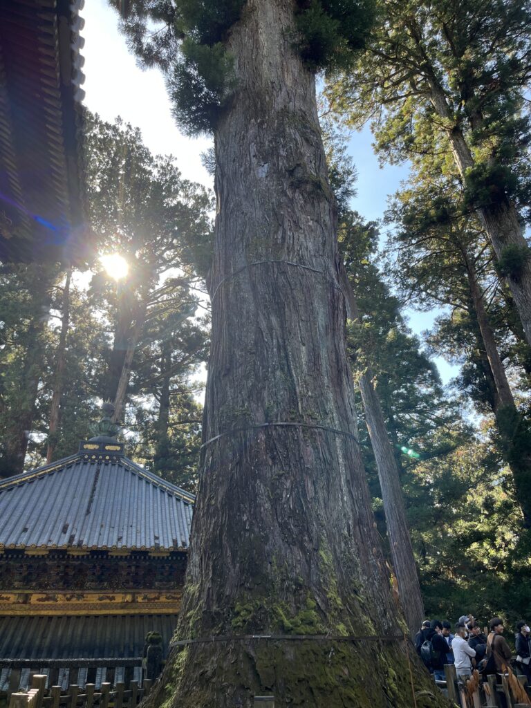 日光東照宮　奥宮