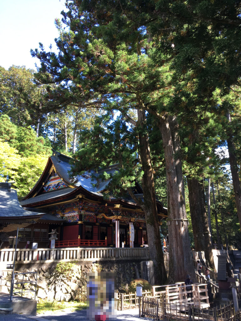 三峯神社の御神木