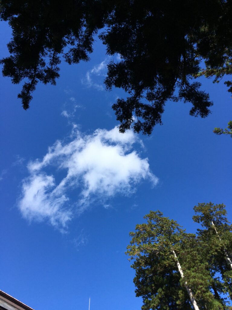 三峯神社の上空
